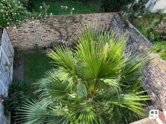 Maison vendue – Rennes Sévigné, -Thabor – joli jardin clos